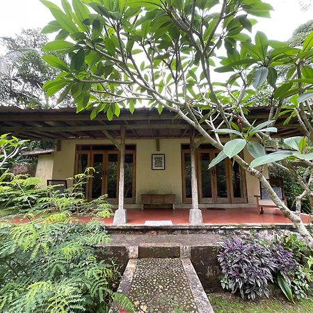 Carik Tangis Boutique Homestay Jatiluwih Exterior foto