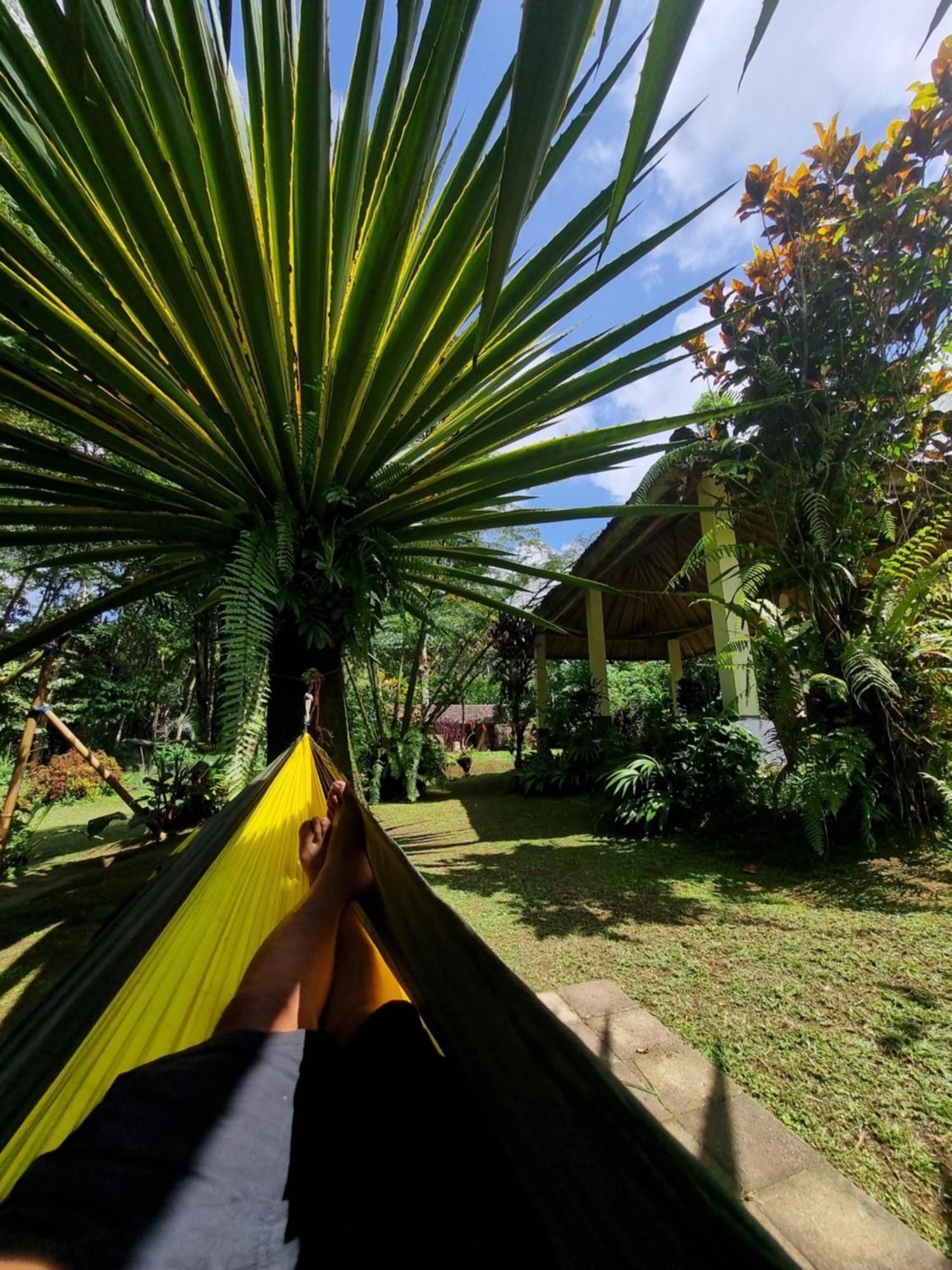 Carik Tangis Boutique Homestay Jatiluwih Exterior foto