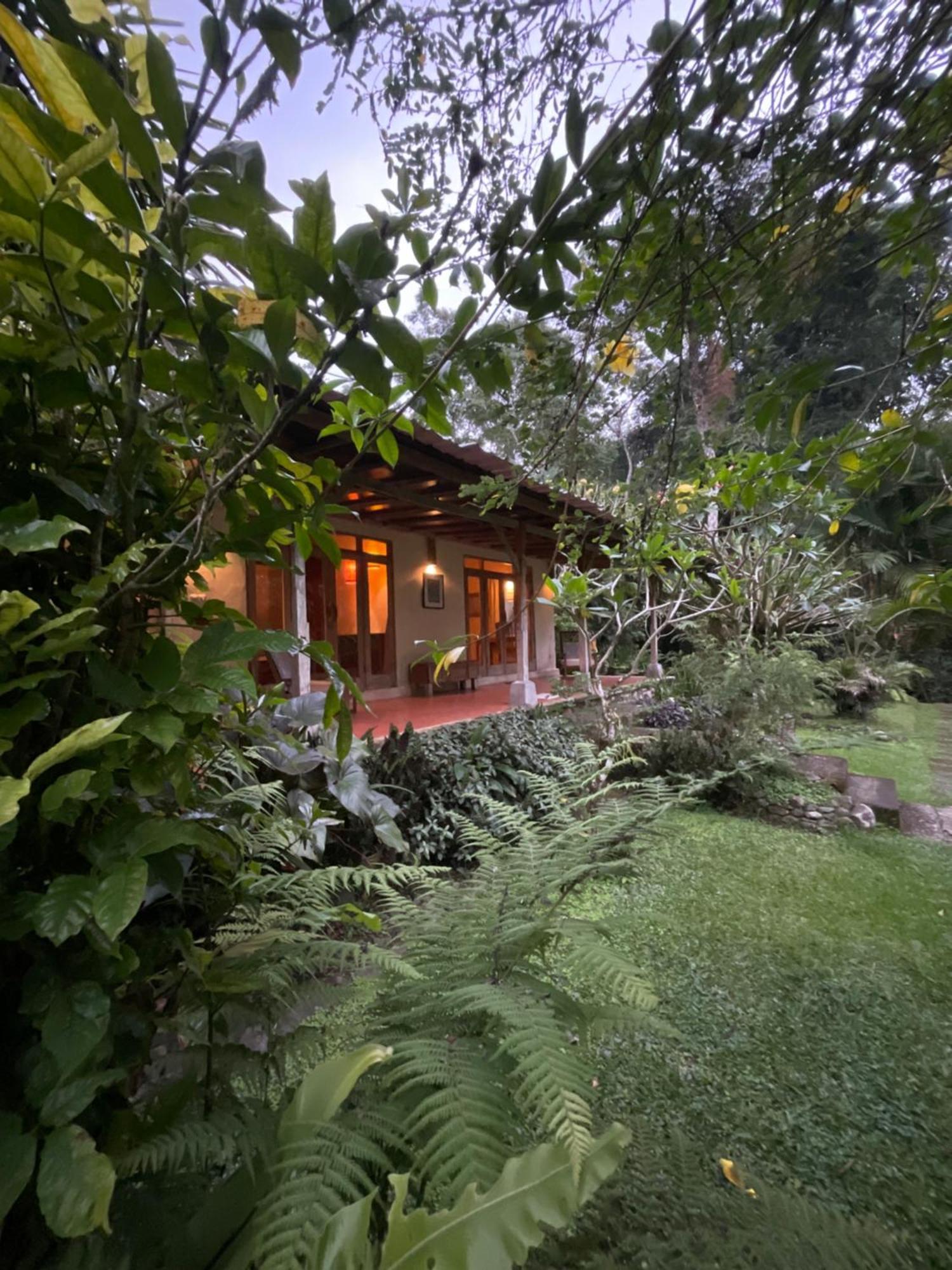 Carik Tangis Boutique Homestay Jatiluwih Exterior foto