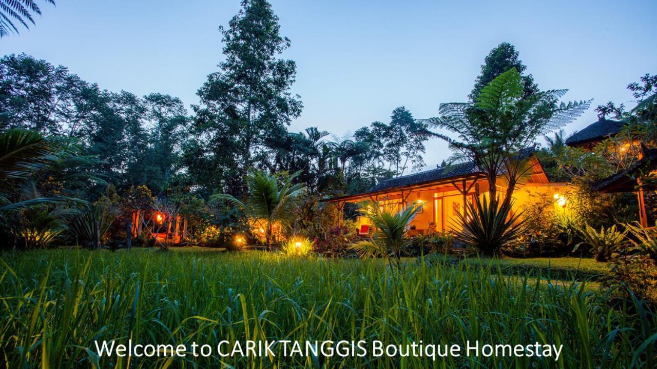 Carik Tangis Boutique Homestay Jatiluwih Exterior foto